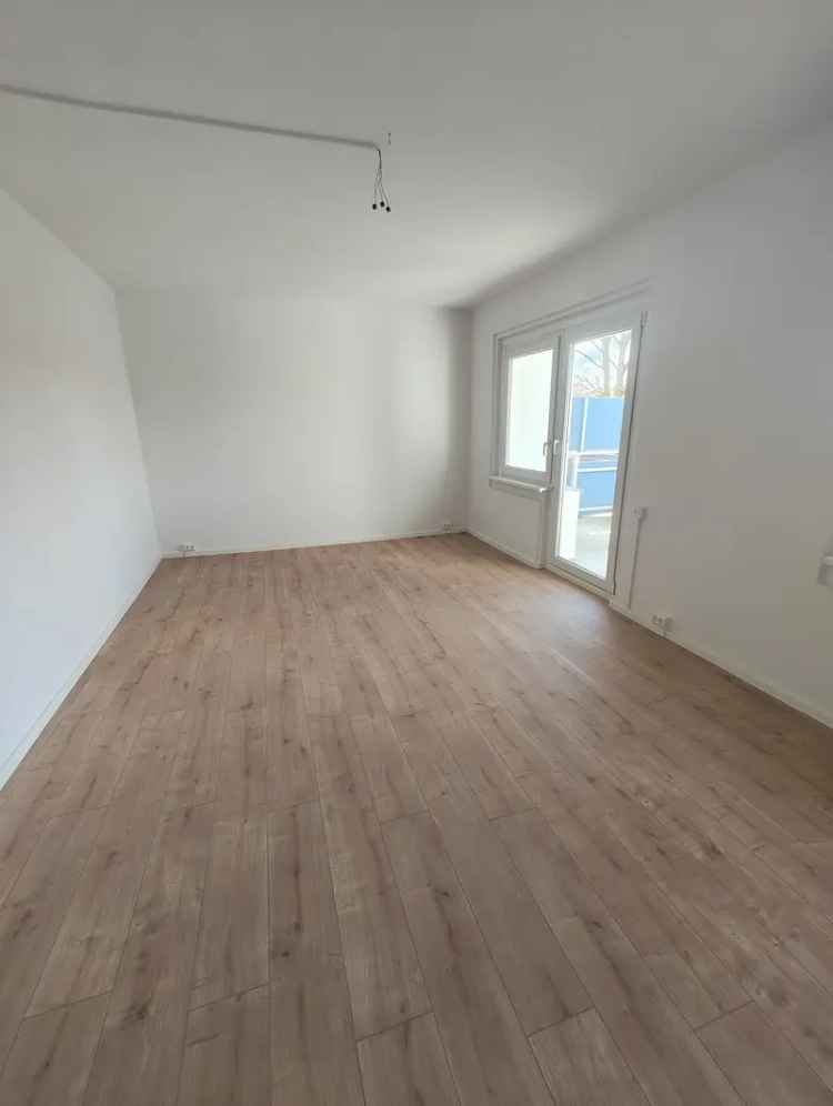 Riesige Wohnung im Erdgeschoss