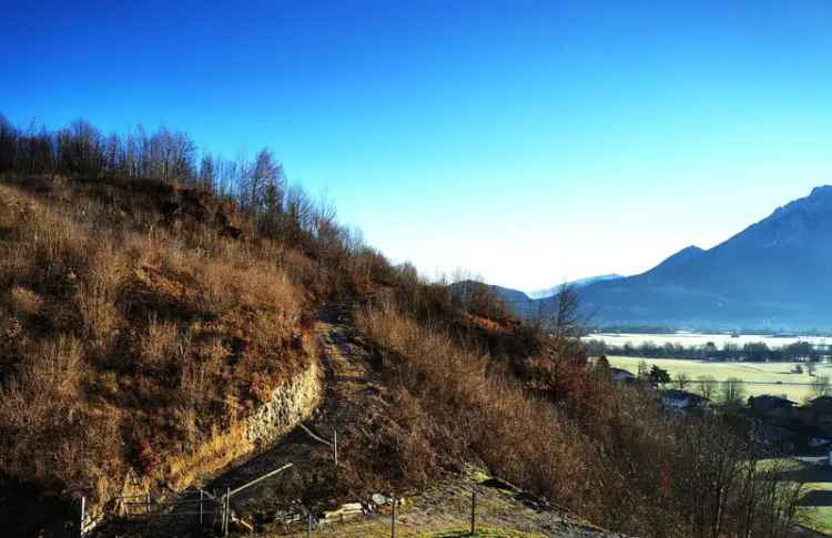 WUNDERSCHÖNES HÜGELIGES WALD-/WIESENGRUNDSTÜCK AM LUEGSTEINSEE MIT ALPENBLICK