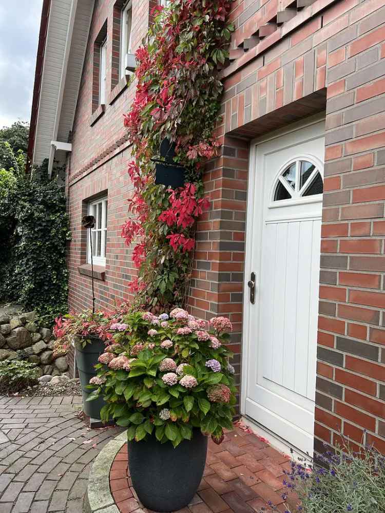 Hochwertiges Friesenhaus in Feldrandlage
