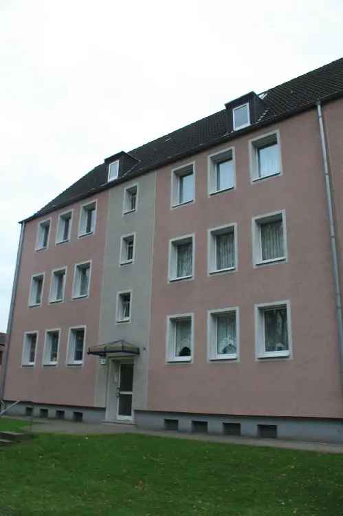 3 Zimmer Wohnung Gelsenkirchen Bismarck Haverkamp Objekt 143 26 M