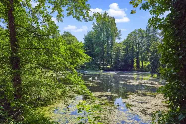 Kaufen Villa in Grunewald mit luxuriöser Ausstattung und flexibler Nutzung