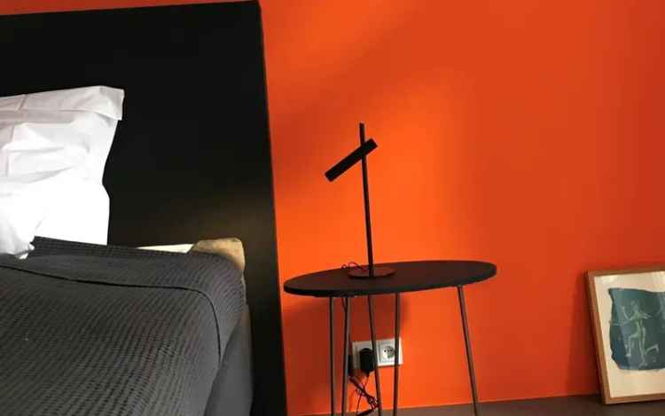 Apartment ORANGE: hochwertige 2-Zimmerwohnung mit Wlan, TV, löffelfertige Küche, grosse Dusche/Wc, Waschmaschine ab 1 Monat buchbar