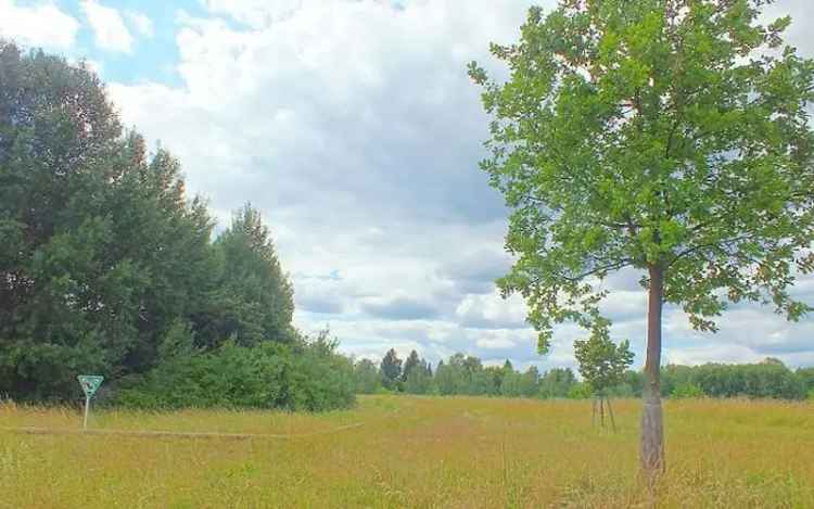 Grundstück mit 8.152 m² Grdst in Kirchwald