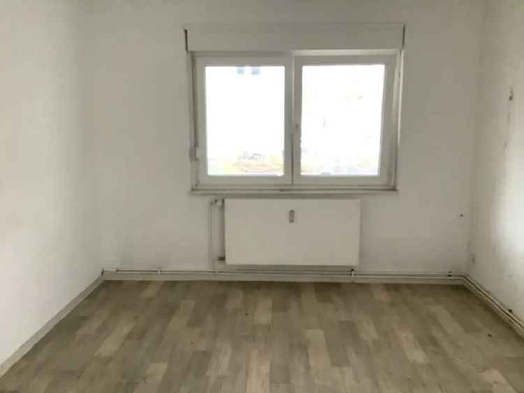 2 Zimmer Wohnung Garten Erdgeschoss Renoviert