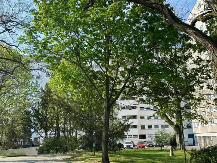 Sonnige 2-Zimmerwohnung – frisch saniert!