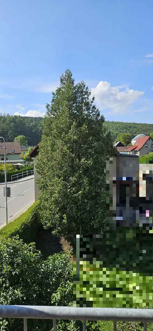 2 Zimmer Wohnung Einsiedel Balkon Flussblick Neu Renoviert