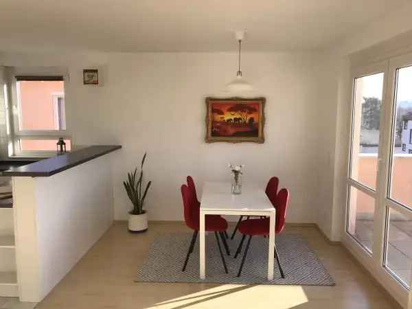 Penthouse Wohnung Frankfurt Griesheim Mainblick Dachterrasse 70m²