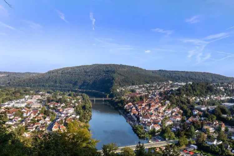 HUF Haus in Top Lage vor den Toren Heidelbergs