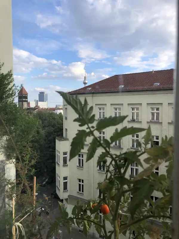 Miete schöne Altbauwohnung in Mitte Berlin mit hellem Blick