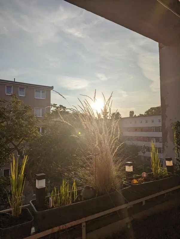 Mieten Wohnung in Neukölln Berlin mit Balkon und Einbauküche