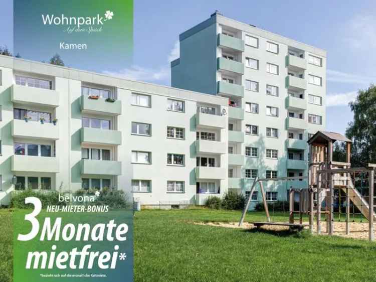 ▷ 3 Monate mietfrei: Frisch sanierte 3 Zimmer-Ahorn-Luxuswohnung