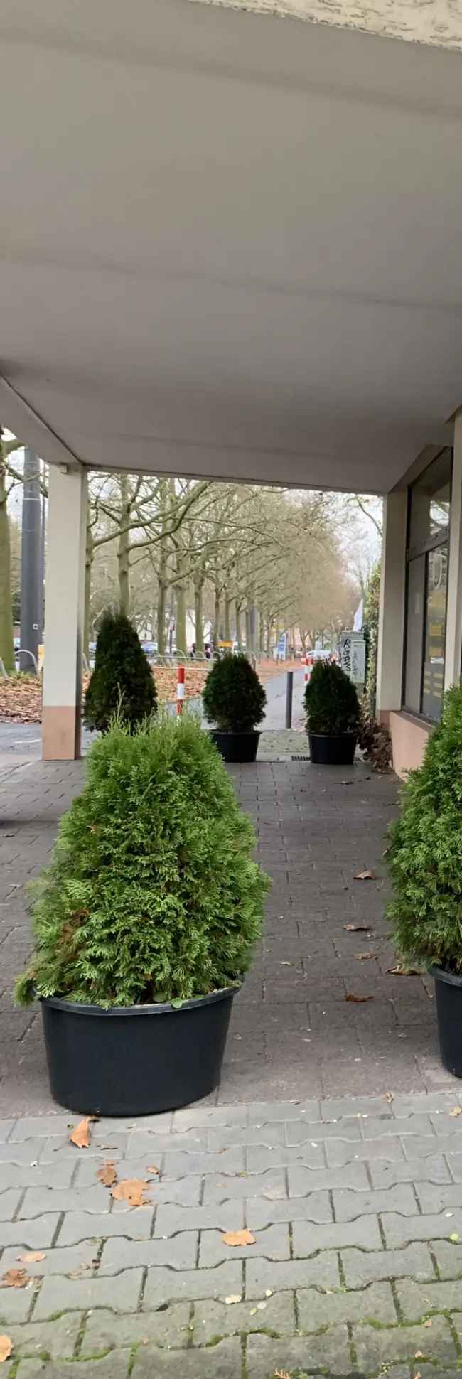 SCHÖNE LADENFLÄCHE IN FRANKFURT AM MAIN ZU VERMIETEN!