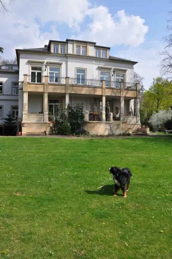 2 Zimmer Dachgeschosswohnung Dresden Loschwitz EBK Parkett