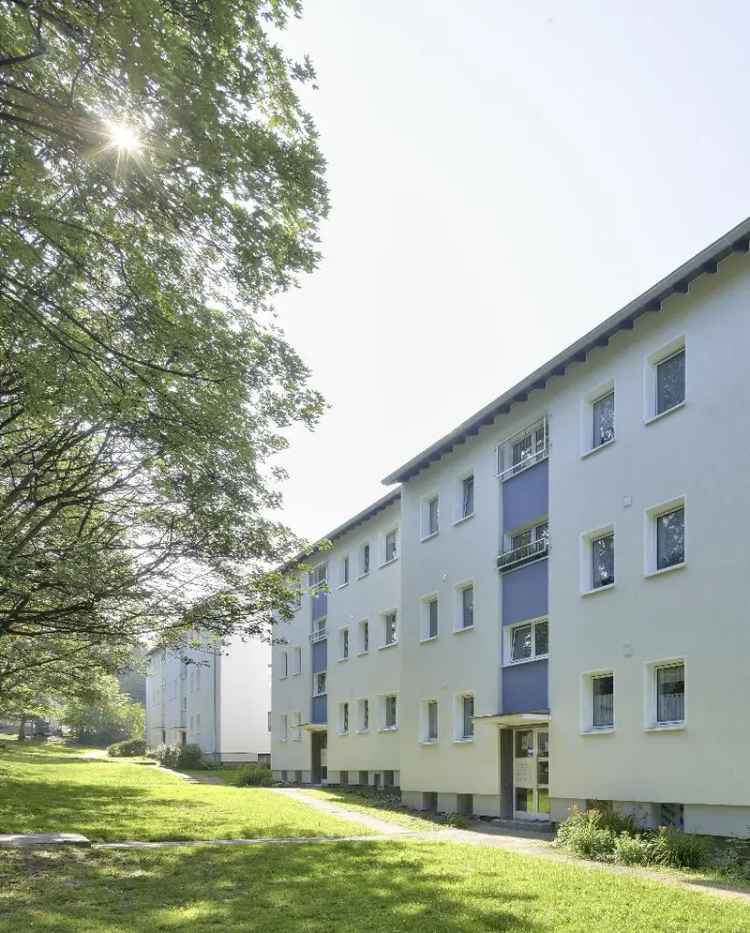 Mieten Sie eine schöne 3 Zimmerwohnung mit Balkon in modernisiertem Mehrfamilienhaus