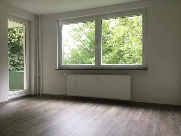 2 Zimmer Wohnung Erdgeschoss Balkon Dusche Baumheide