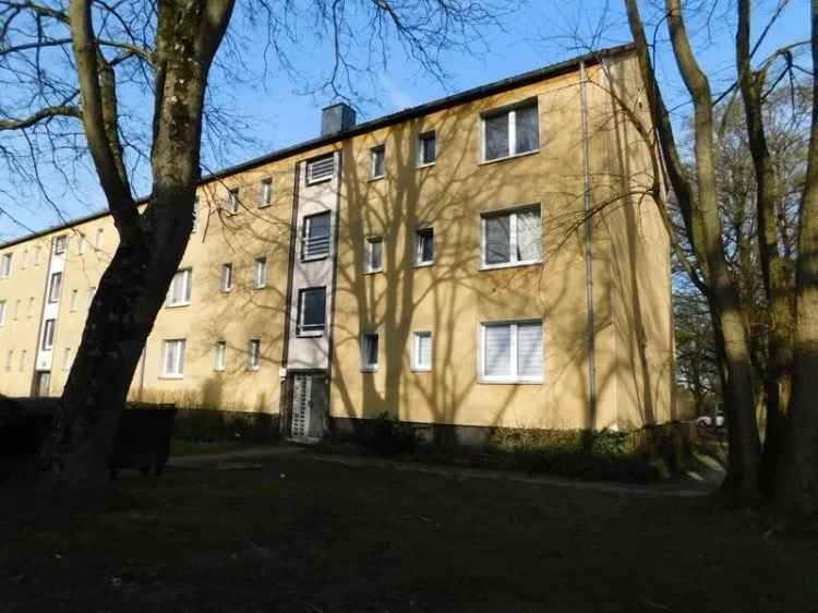 Mieten renovierte 1-R-Wohnung in idealer Lage für Singles und Studenten