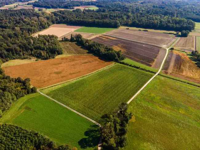 Exklusives Angebot: landwirtschaftliche Flächen