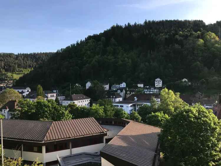 Gemütliche sonnige 3 Zimmerwohnung ruhige zentrale Lage  Schramberg