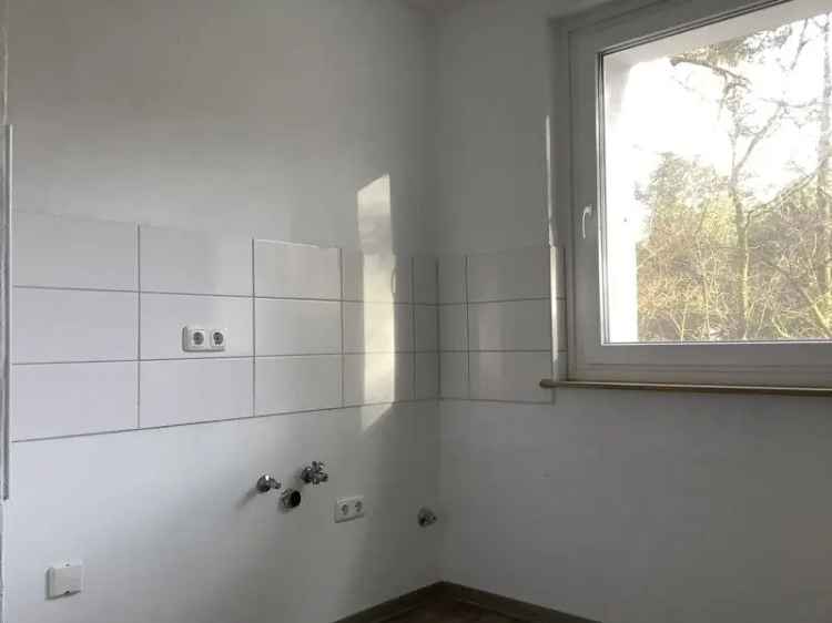 3 Zimmer Wohnung Sennestadt Balkon Tageslichtbad