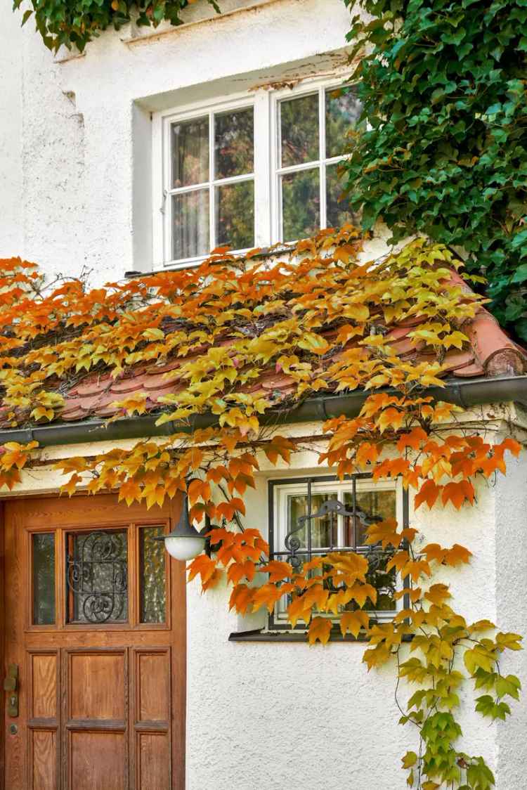 Zauberhaftes Jugendstil-Stadthaus von 1912 mit charmantem Südgarten