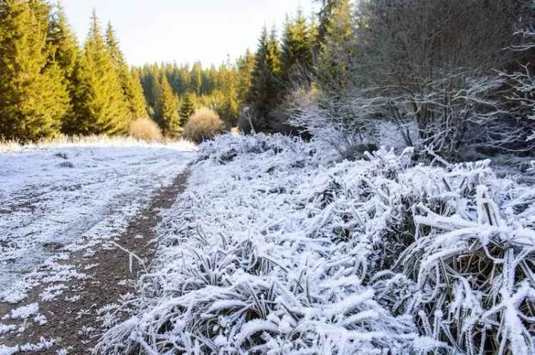 Ihr Zuhause mit grenzenlosem Ausblick und nachhaltigem Konzept – Natur pur in Stadtnähe