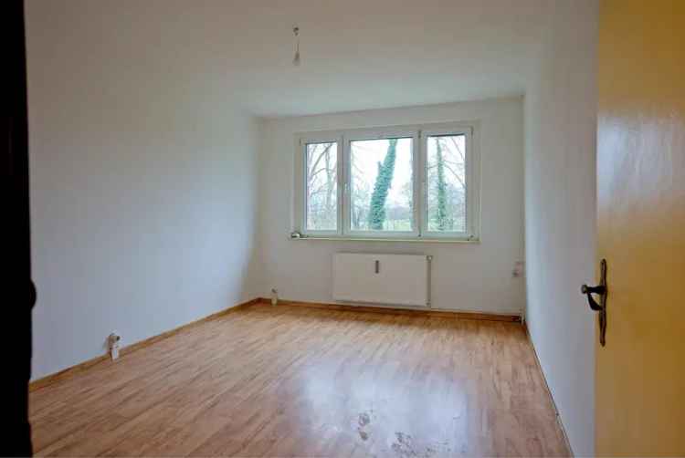 Gustävel - Schöne 3 Zimmerwohnung ab sofort zu vermieten (Whg. 11)