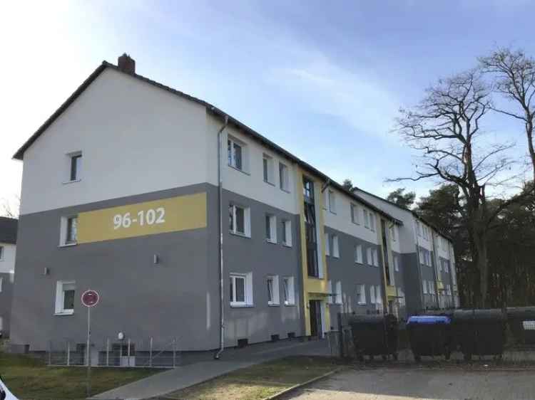 2-Zimmer Erdgeschosswohnung mit eigener Terrasse in Bielefeld-Sennestadt!