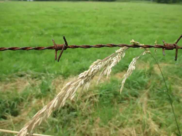 Baugrundstück in Aldenhoven-Dürboslar in Randlage für DH oder EFH