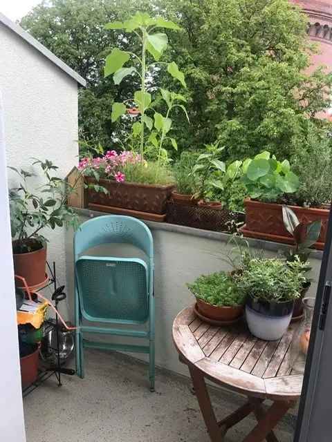 1-Zimmer Wohnung Neukölln Altbau Balkon Küche ruhig grün