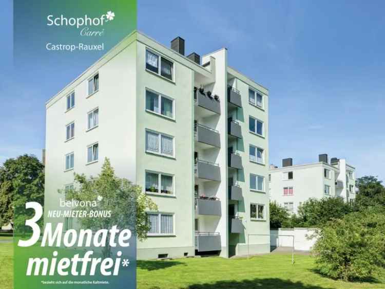 Neu: SOFORT FREI! 3 Monate mietfrei: 2 Zimmer-Ahornwohnung