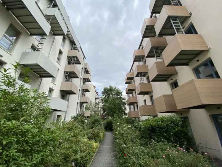 Apartment Dresden Leipziger Vorstadt Single Wohnung