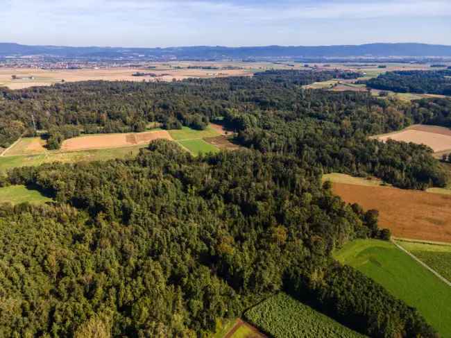 Waldgrundstück Dengling 6610m² - 3 Flurstücke - Naturnah