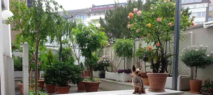 3-Zimmer-Wohnung mit großer z.T. überdachter Terrasse sucht „grünen Daumen“