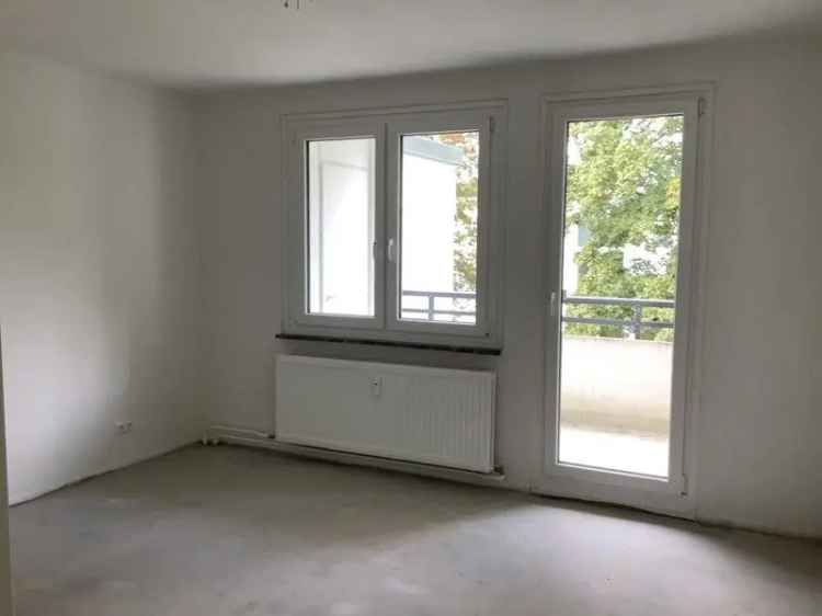 3 Zimmer Wohnung Balkon Baumheide Tageslichtbad Mieterkeller