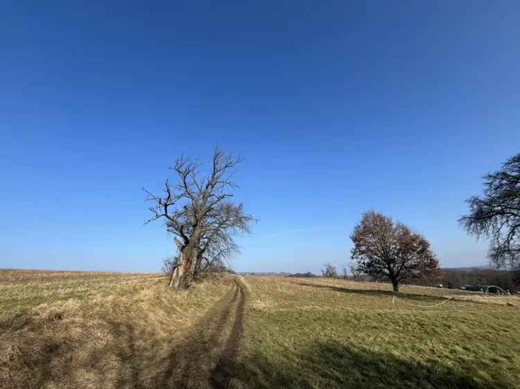 Historisches Fachwerkjuwel als Einzeldenkmal mit Baugenehmigung – Einzigartige Gelegenheit!