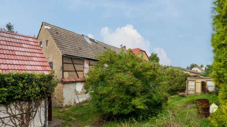 Rohdiamant zum selbst schleifen! Einfamilienhaus mit Garten in Frauendorf