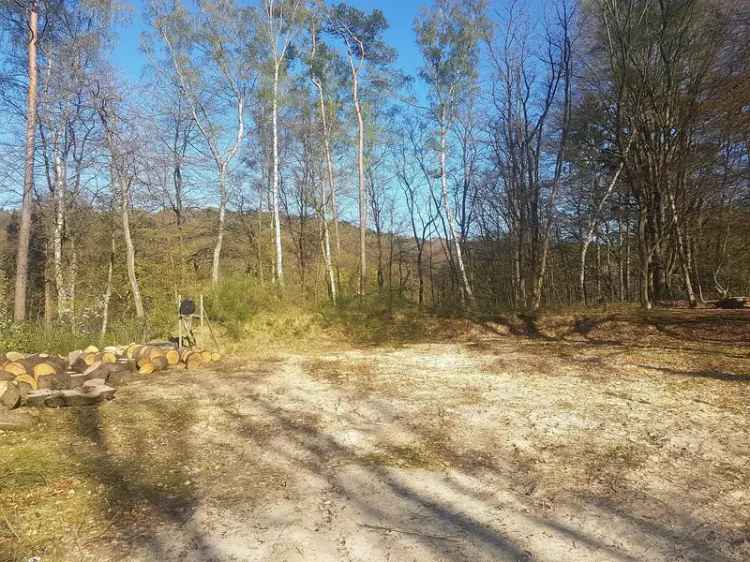 Baugrundstück in Tee mit Reh mit unverbaubarem Blick