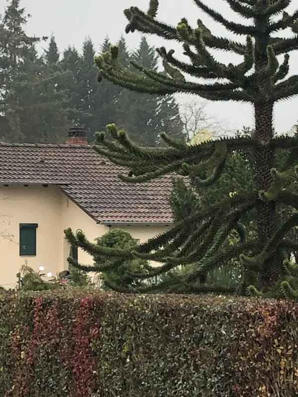 Apartment in Böhl-Iggelheim, Iggelheim