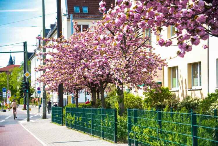 Ruhige 2-Zimmer-Wohnung in Adlershof mit Balkon