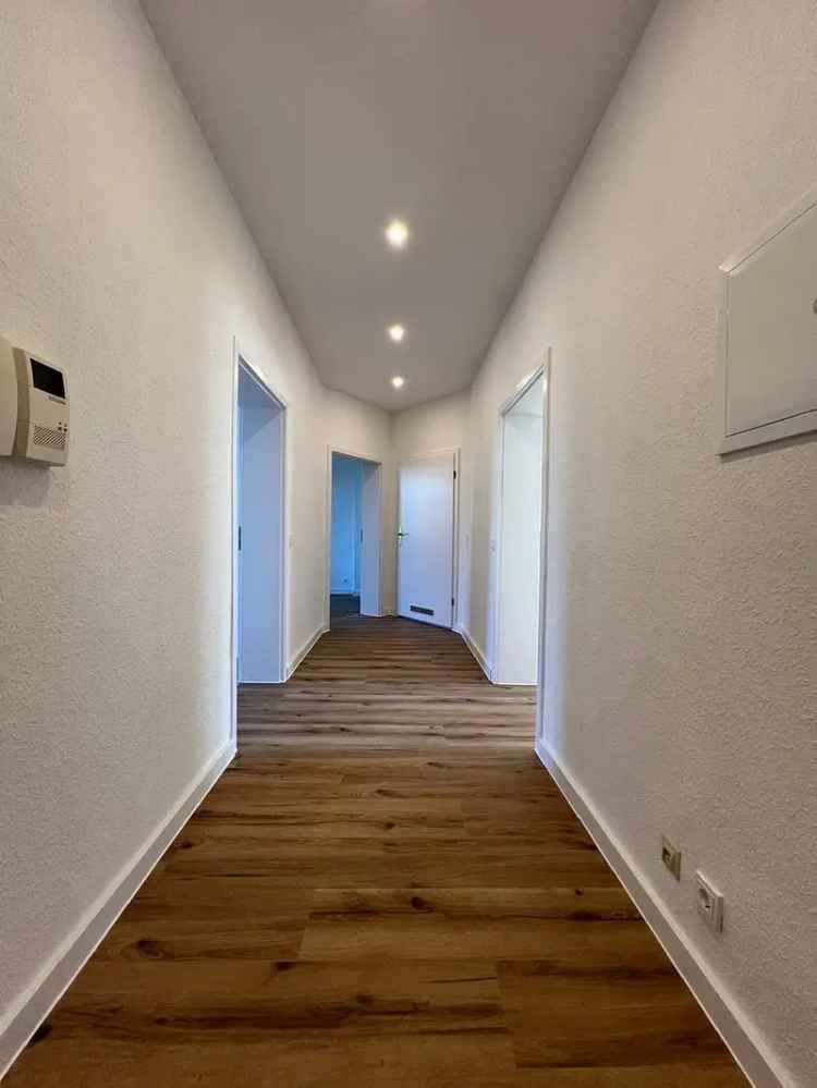 Frisch renovierte 3 Zimmer Wohnung in Herten Disteln