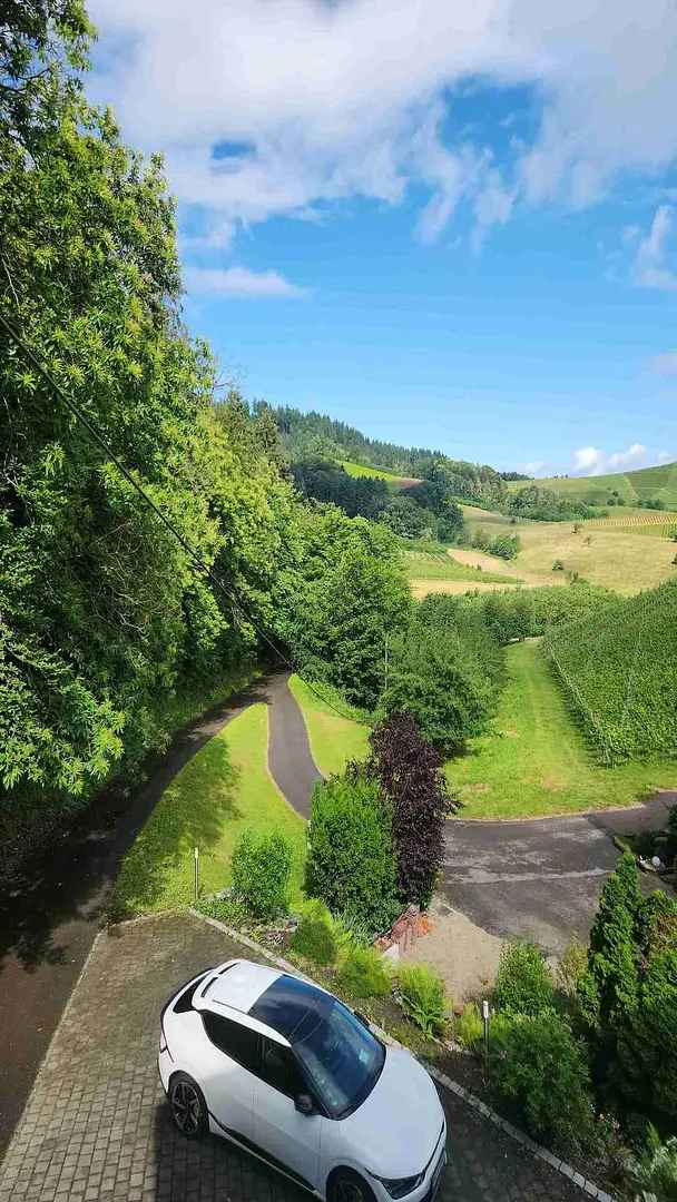 Kapitalanlage inmitten der Weinberge zu verkaufen