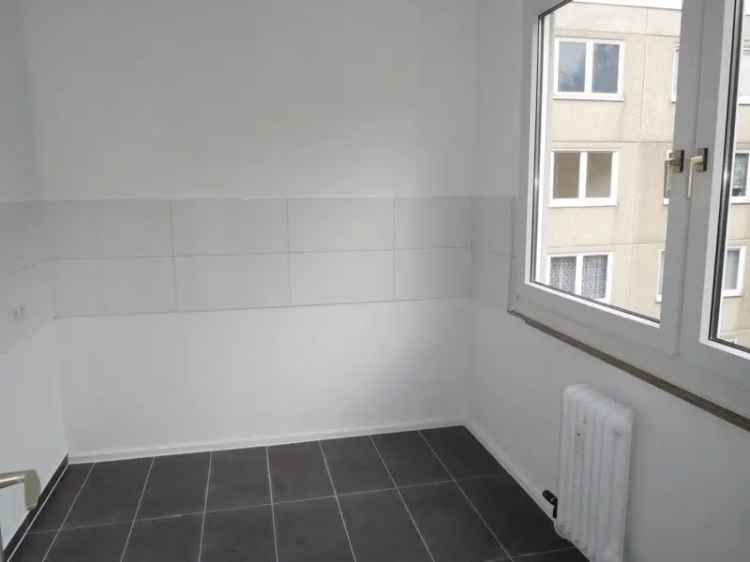 3 Zimmer Wohnung Neu Renoviert Grüne Lage