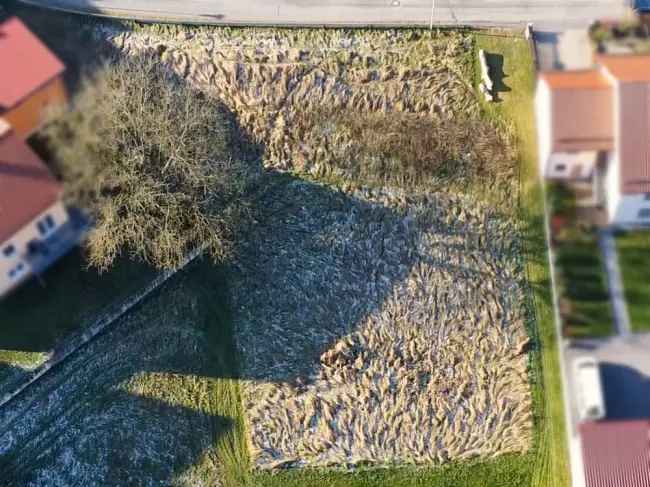 Unverbaubarer Blick ins Grüne! Traumgrundstück in Wenzenbach