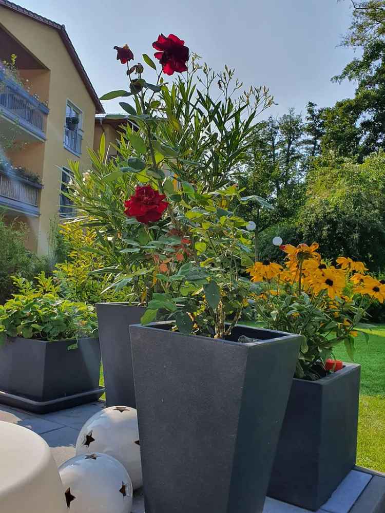 Haus am See - Einfamilienhaus mit Wassergrundstück in Bestensee