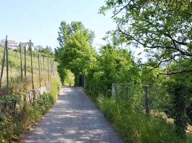 Gartengrundstück Stuttgart Abelsberg Naturliebhaber Gartenprojekt