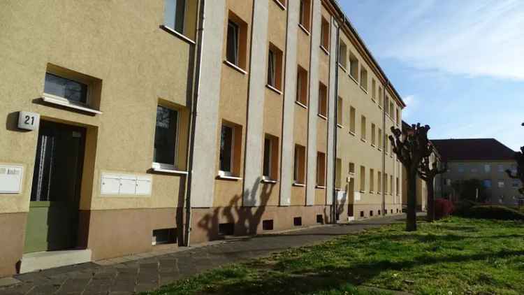 Mieten große wohnung sanierter Altbau 3 Zimmer mit gepflegten Grünanlagen