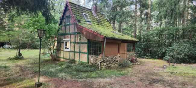 Waldgrundstück mit zwei Häusern in Buchholz Suerhop