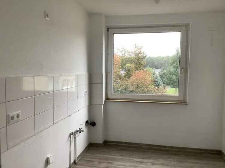 3 Zimmer Wohnung Sennestadt Balkon Bad Keller