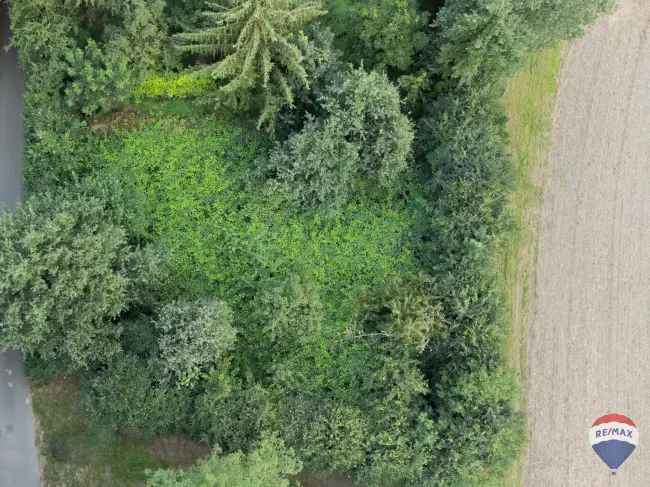 Waldgrundstück mit Blick über die Felder