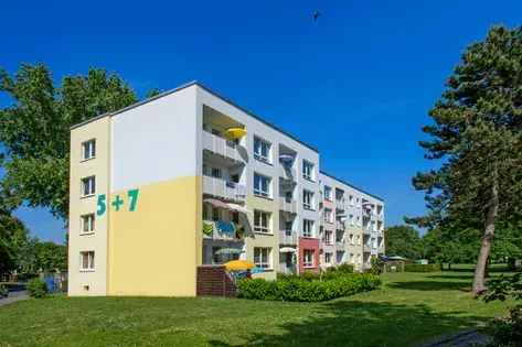 Wohnung (81.0 m²) zur Miete in Dortmund (Rauschenbuschstraße 5, 44319 Dortmund, Germany) - immosurf.de